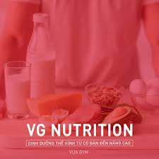 Nutrition and Workout E-books