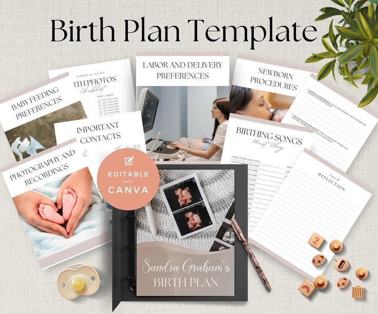 Online Pregnancy & Birth Planning Session 2