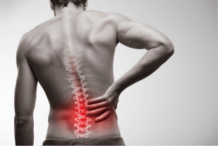 general low back pain program 2
