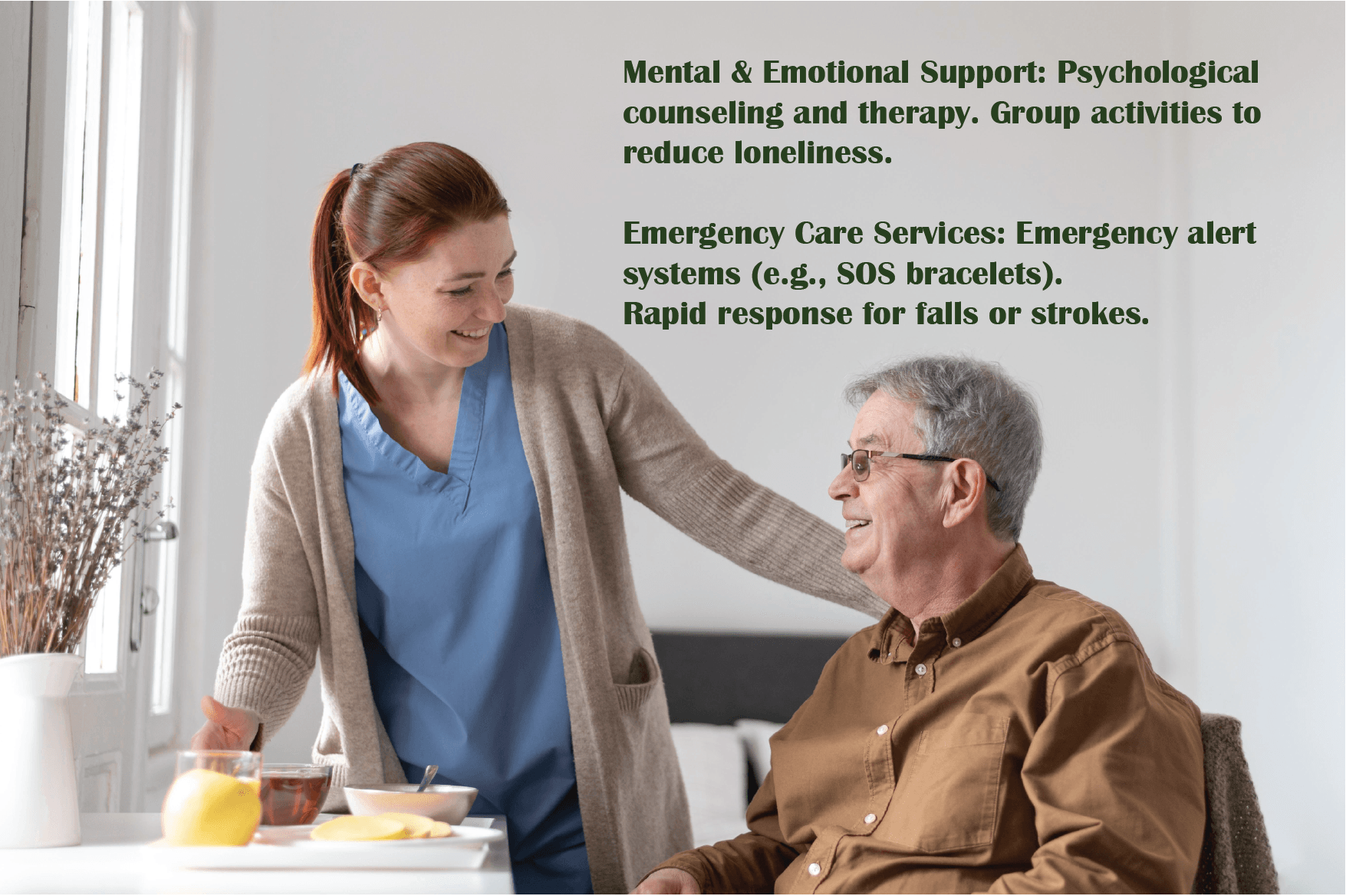 elderly  care  services 5