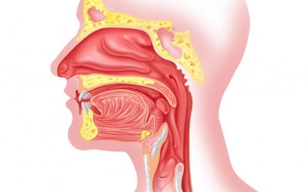 🎯 Online Video Consultation for Persistent Hoarseness, Sore Throat, and Chronic Nasal Congestion