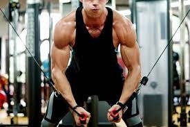 personal coach and nutrition programs