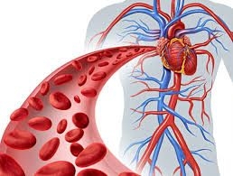 REMOTE CARDIOLOGY CONSULTATION & MONITORING