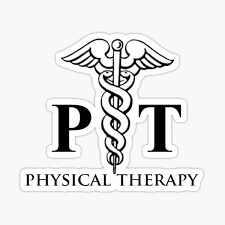 Virtual Physiotherapy for Optimal Movement 2
