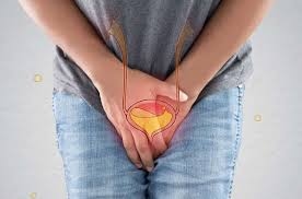 Problemas urinarios comunes