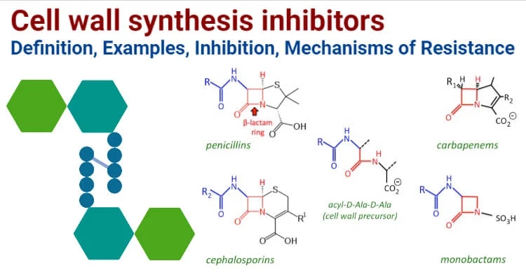 Cell Wall synthesis inhibitor 