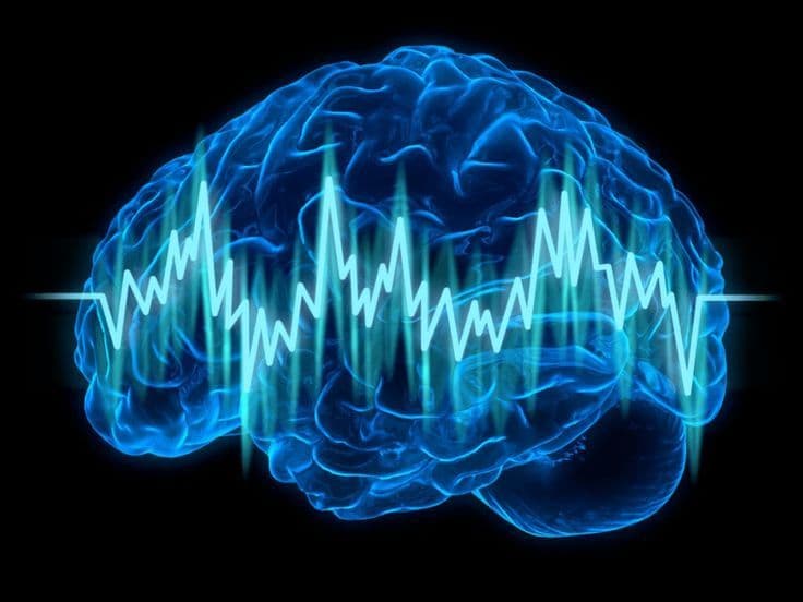 Understanding Brain & Nerve Health: Why Neurological Wellness Matters More Than You Think