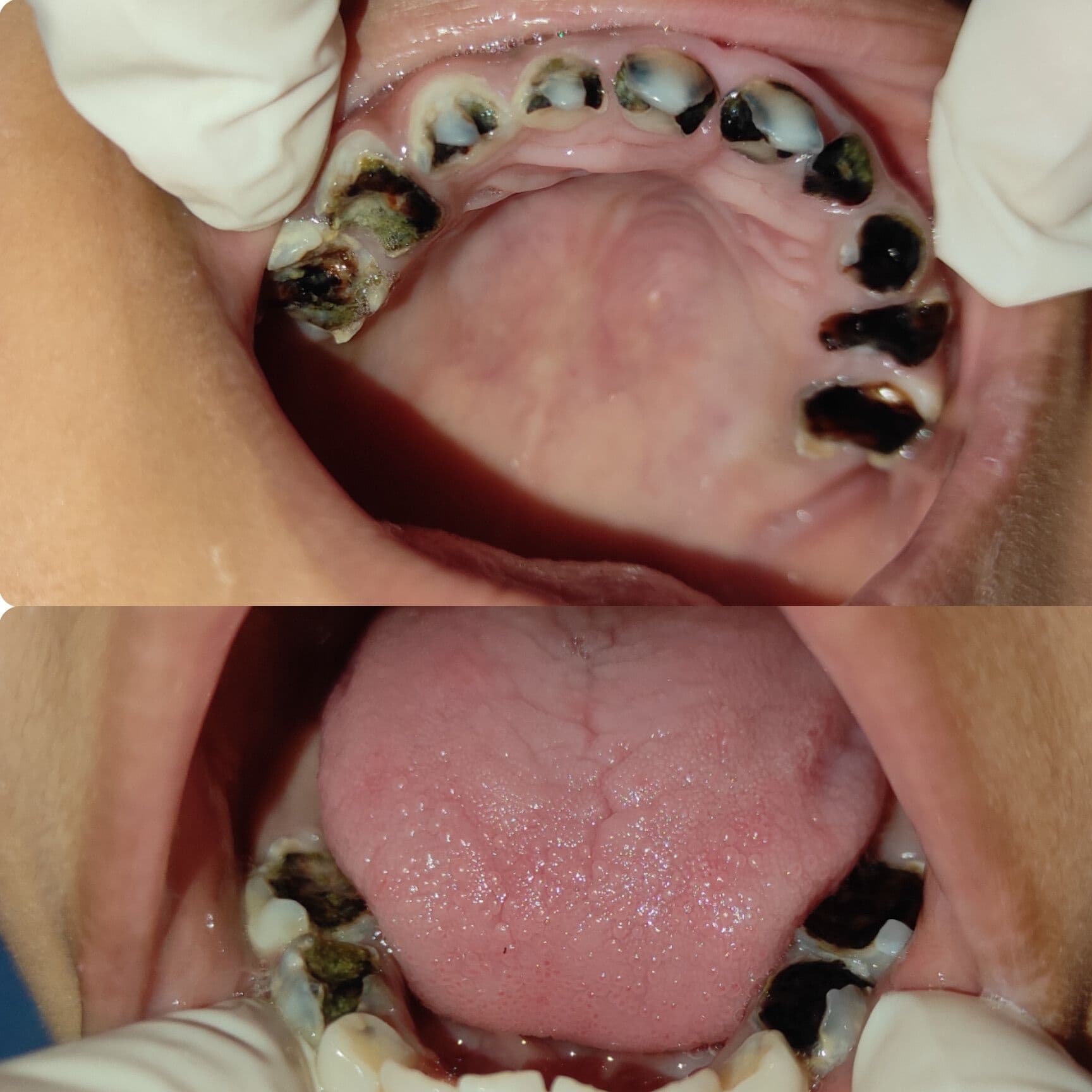 General Dentist, who can provide good advice for any dental problems