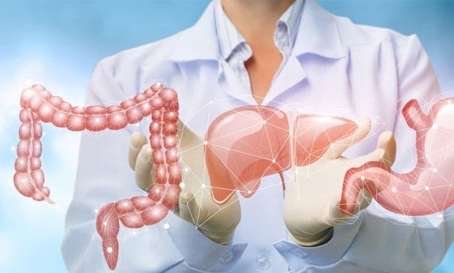 The Rising Burden of Gastrointestinal Cancers and Hepatobiliary Diseases in Lebanon