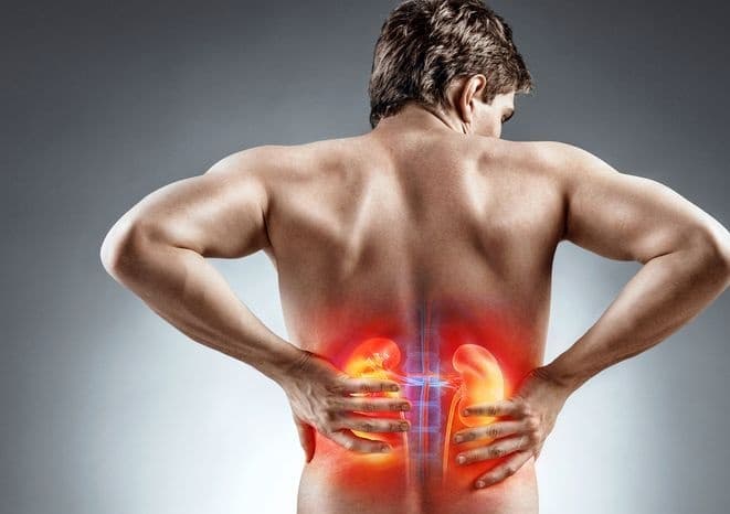 The Kidney-Friendly Diet You've Been Searching For: StrongBody Online Consultations