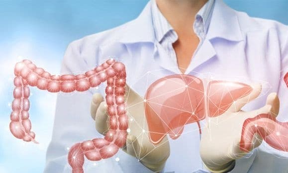 The Rising Burden of Gastrointestinal Cancers and Hepatobiliary Diseases in Lebanon