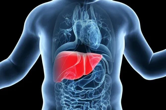 Enlarged Liver or Spleen: What It Is and How to Book a Consultation Service for Its Treatment Through StrongBody AI