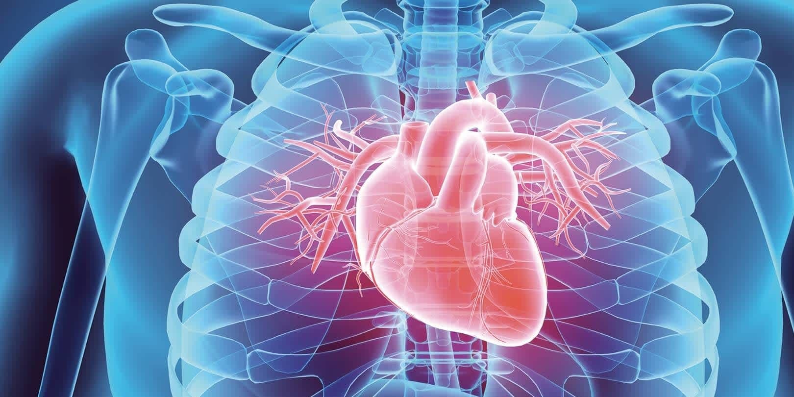 Common Heart Conditions: Understanding, Managing, and Getting Expert Help
