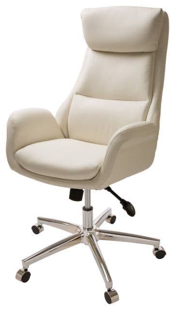 Ergonomic chair for back pain