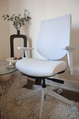 Ergonomic chair for back pain 1