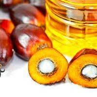 L'huile de palme rend les cheveux brillants - Image 1